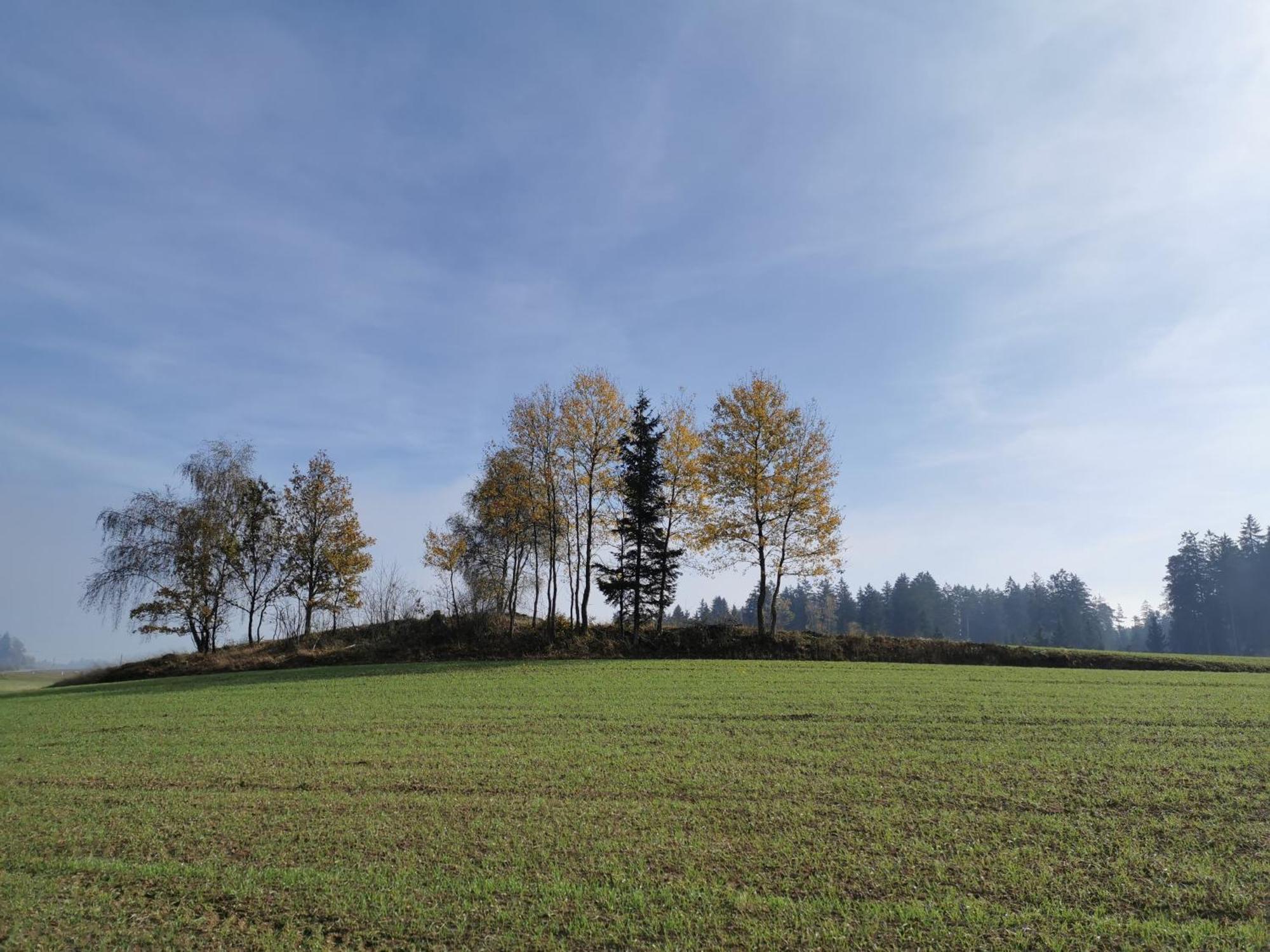 Kindererlebnis- Und Biobauernhof Hipp-Bruckner Wornharts Exteriér fotografie