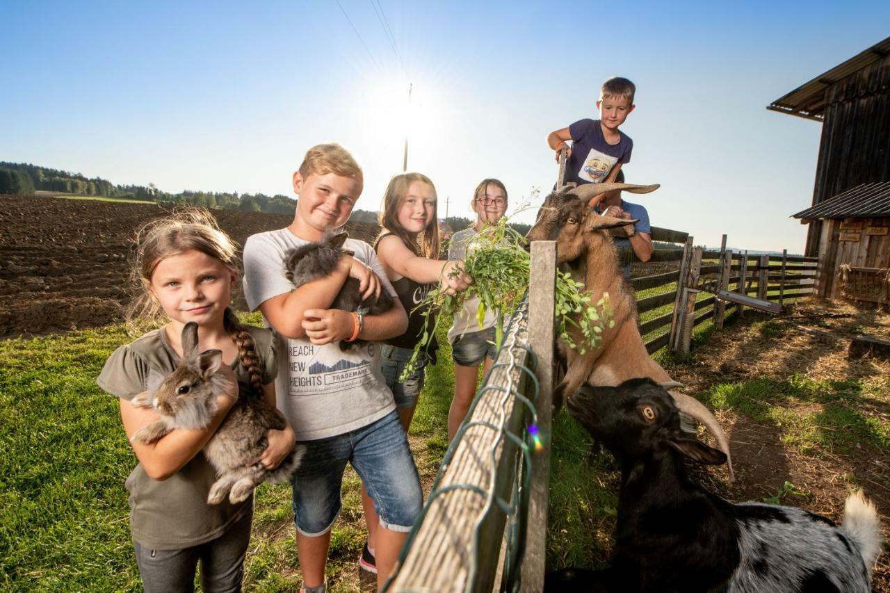 Kindererlebnis- Und Biobauernhof Hipp-Bruckner Wornharts Exteriér fotografie
