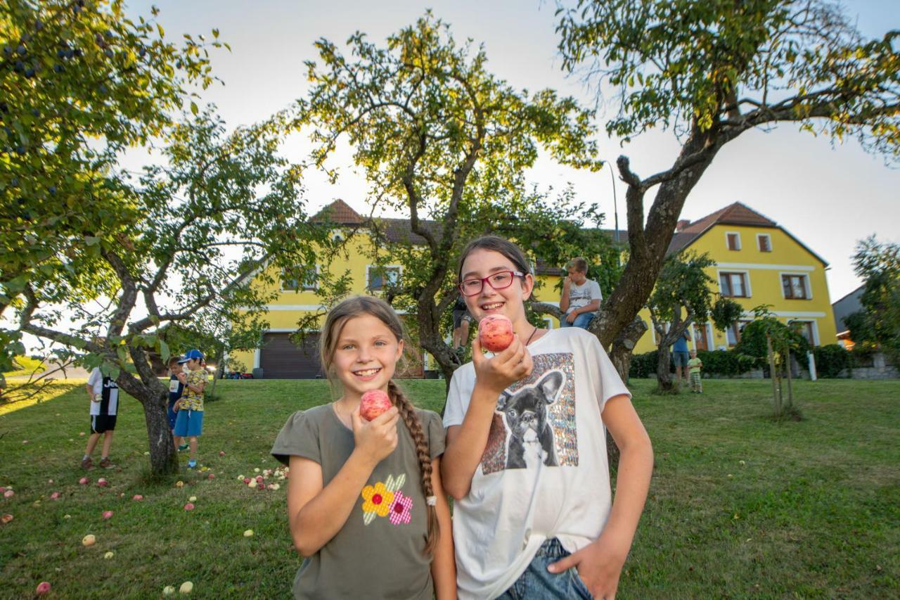 Kindererlebnis- Und Biobauernhof Hipp-Bruckner Wornharts Exteriér fotografie